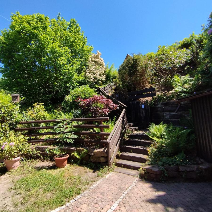 Chalet Spessart Dammbach Eksteriør bilde