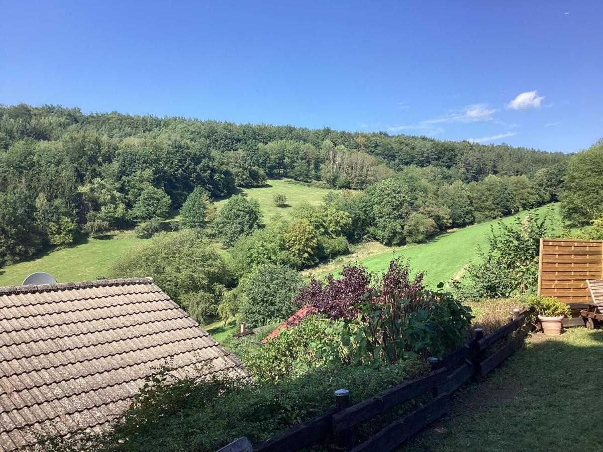 Chalet Spessart Dammbach Eksteriør bilde